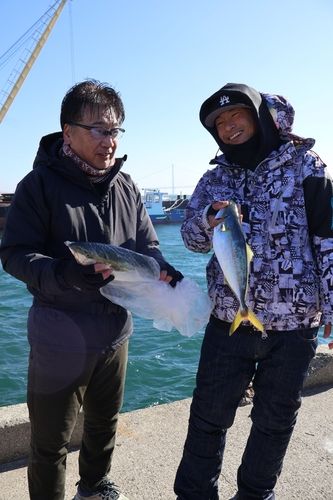 ハマチの釣果