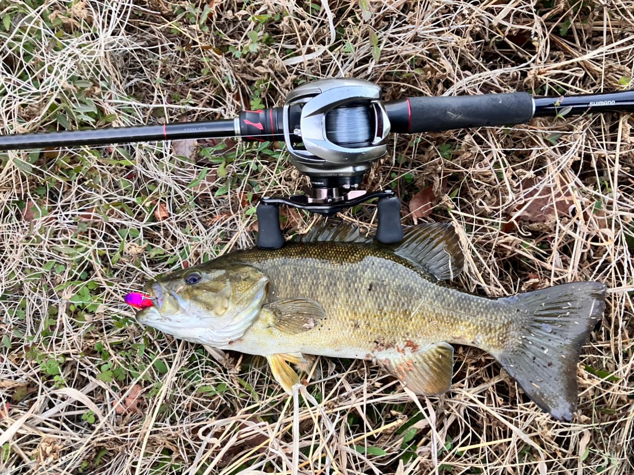 SHIMANO 20ゾディアス 170M-G/2の最安値・インプレ・釣果 | 本音の