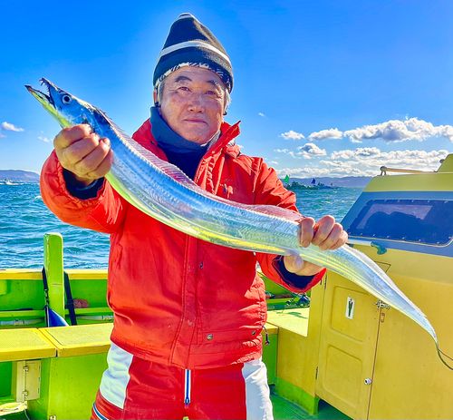 タチウオの釣果