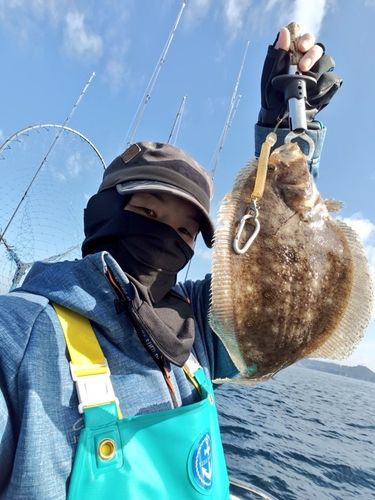 ガンゾウビラメの釣果