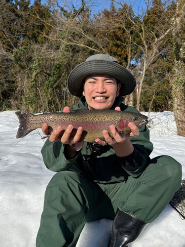 ニジマスの釣果