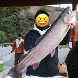 スチールヘッド