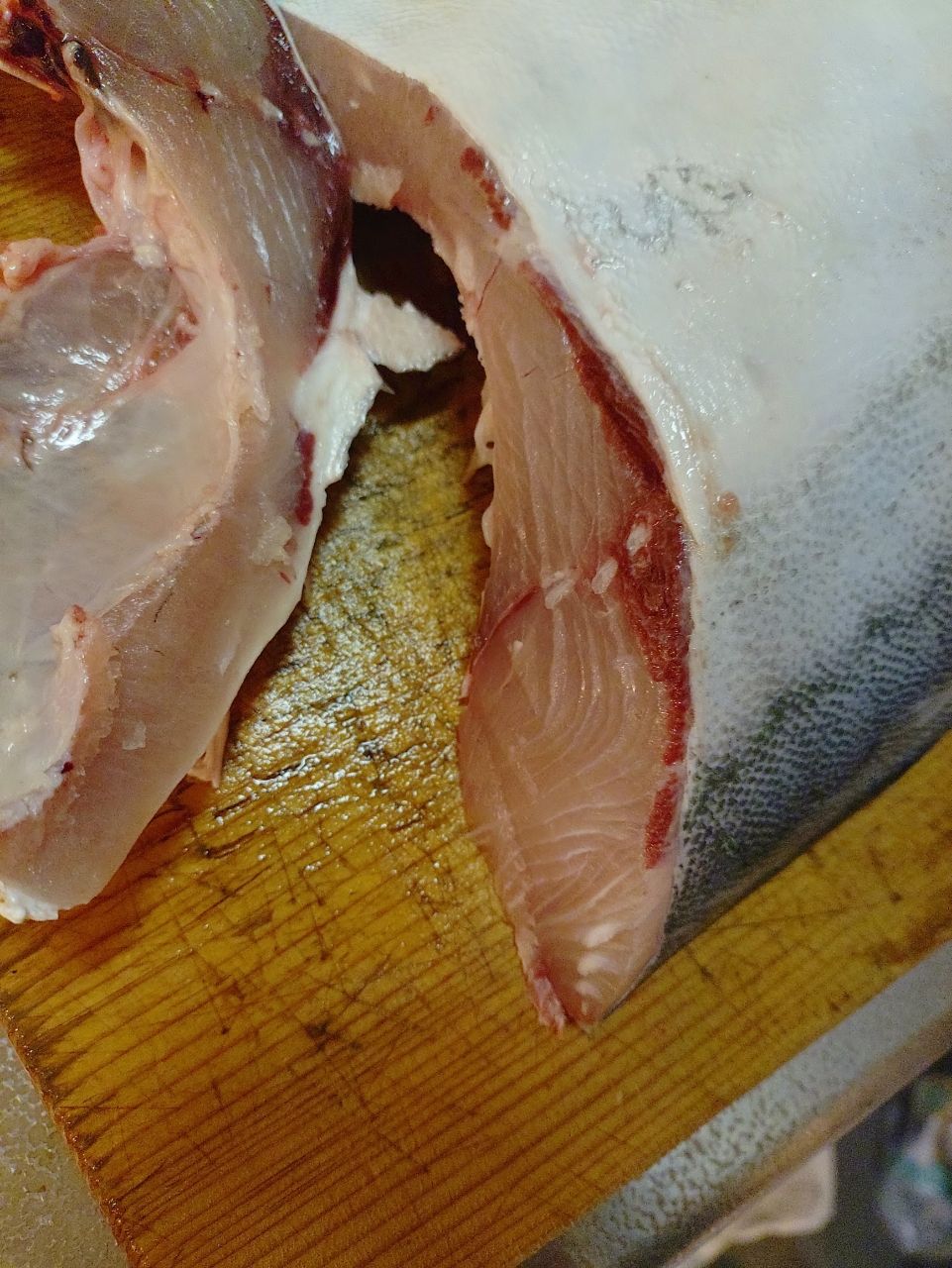 Devilrayさんの釣果 3枚目の画像