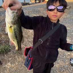 ラージマウスバス