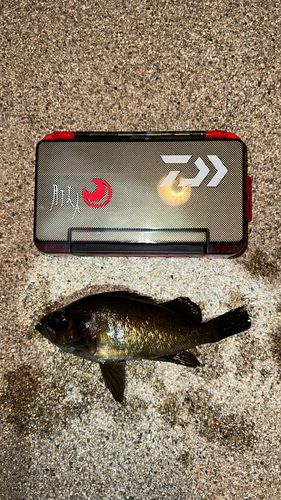 宇品波止場公園