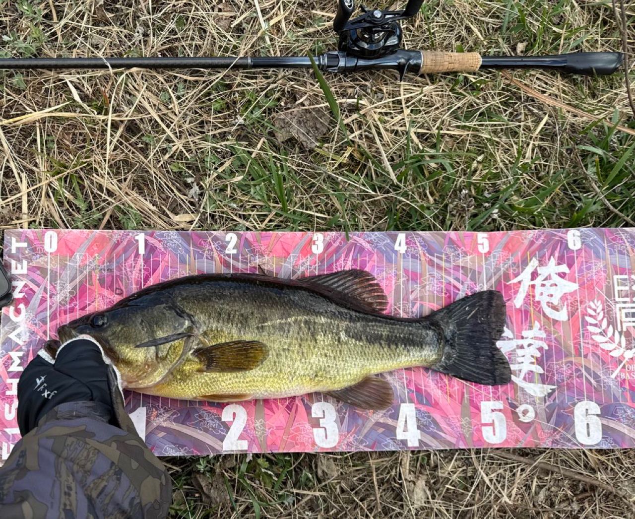 SHIMANO 21ポイズングロリアス 174MH+の最安値・インプレ・釣果 | 本音