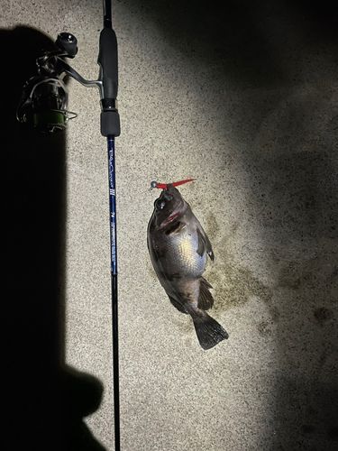 三陸海岸（宮城）