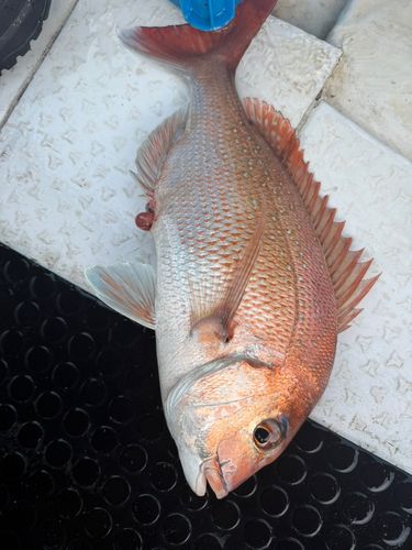 田之浦港（倉敷）