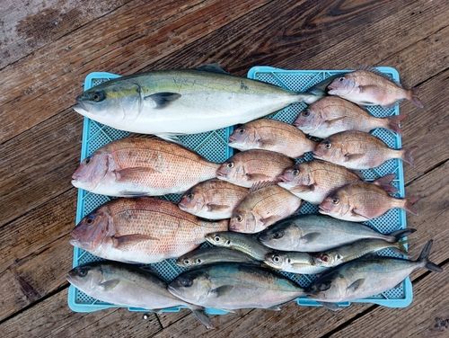 仮屋湾遊漁センター