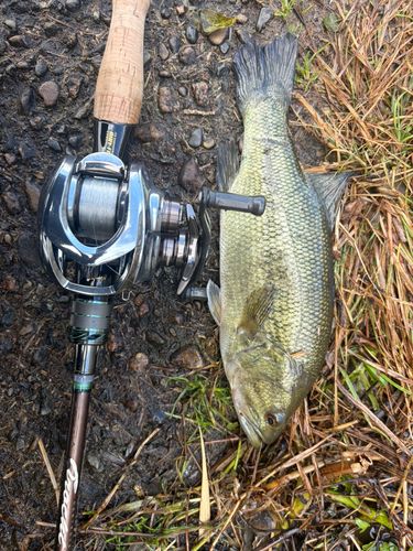 新川（霞ヶ浦）