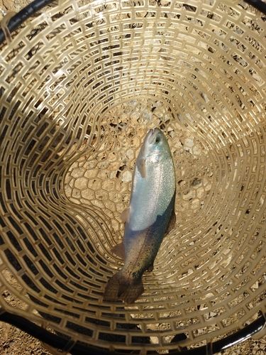 加賀フィッシングエリア