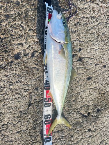 沖洲マリンピア