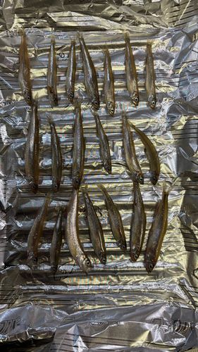 野尻湖（長野）