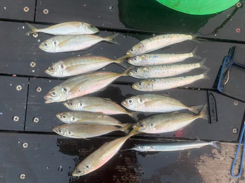 小名浜港アクアマリンふくしま周辺