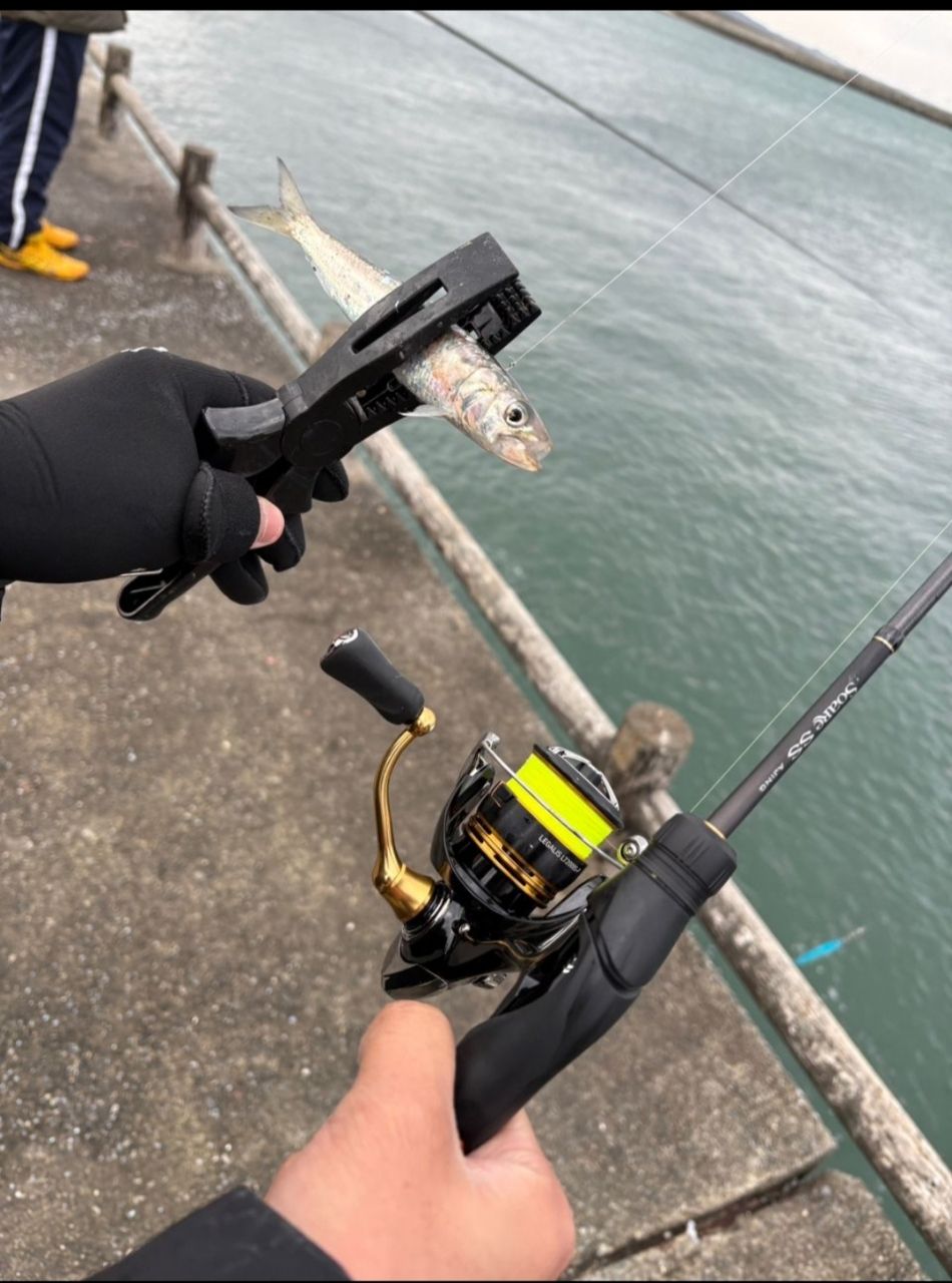 SHIMANO 22ソアレ SS アジング S58UL-Sの最安値・インプレ・釣果