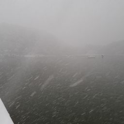 ロックトラウト