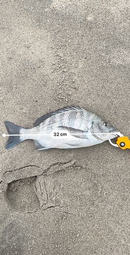 新舞子海岸（いわき）