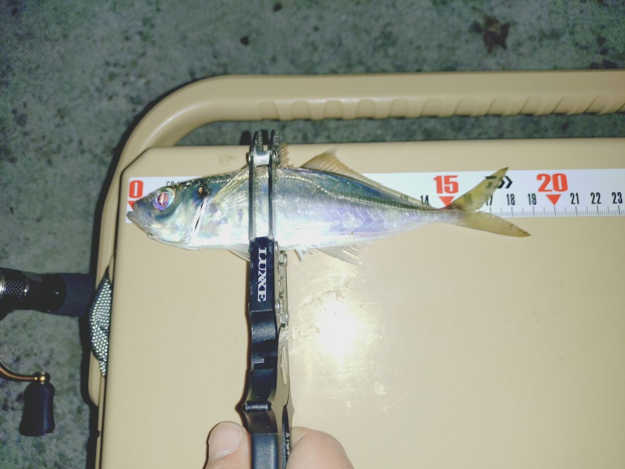 OLYMPIC 20コルト UX GCORUS-572UL-HSの最安値・インプレ・釣果 | 本音