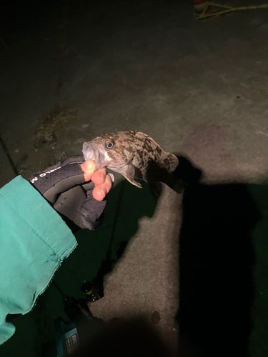 三陸海岸（岩手）