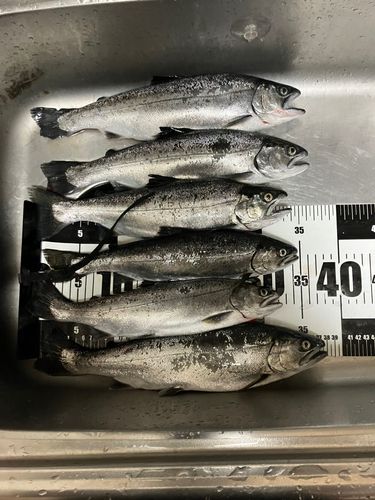 鬼怒川フィッシングエリア