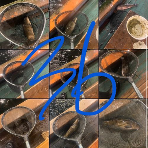 アミューズパーク郡山