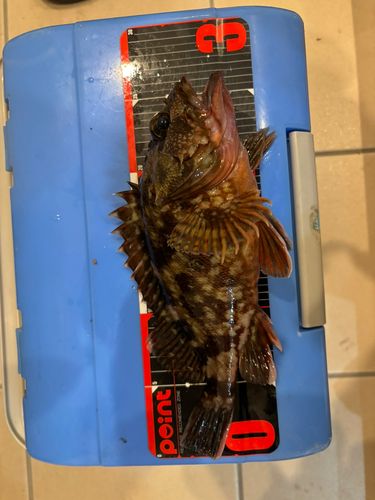 関門海峡 （福岡）