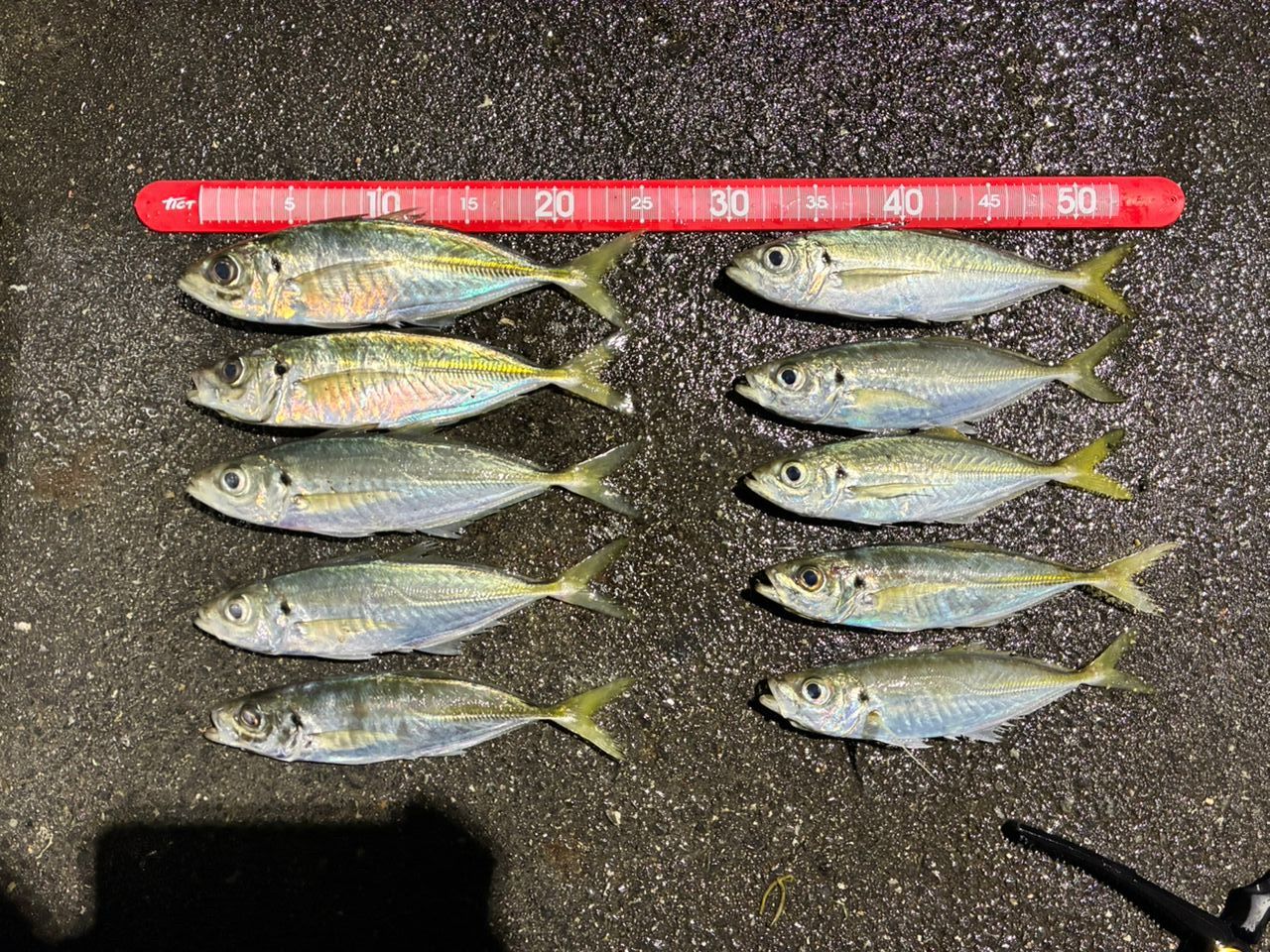 SHIMANO 21ソアレXR S60SUL-Sの最安値・インプレ・釣果 | 本音の口コミ