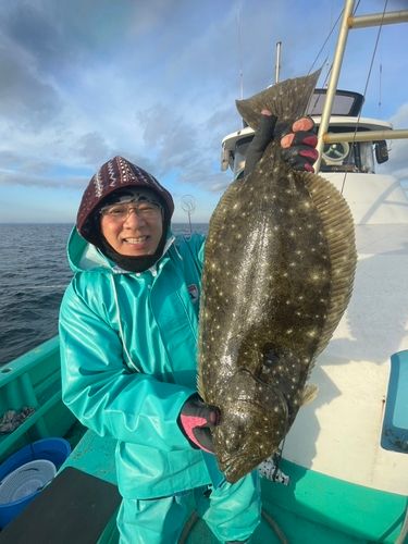 ヒラメの釣果