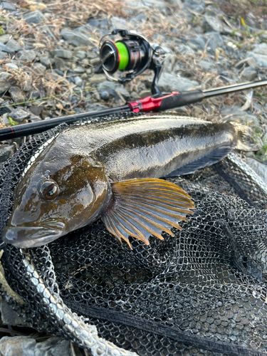 三陸海岸（宮城）
