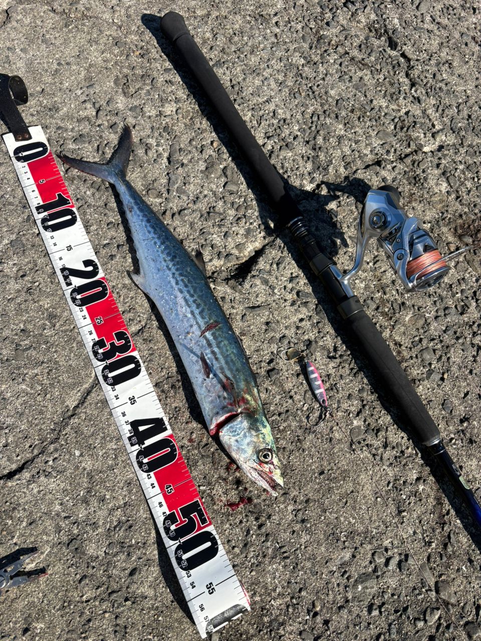 SHIMANO 21コルトスナイパーBB S100Hの最安値・インプレ・釣果 | 本音