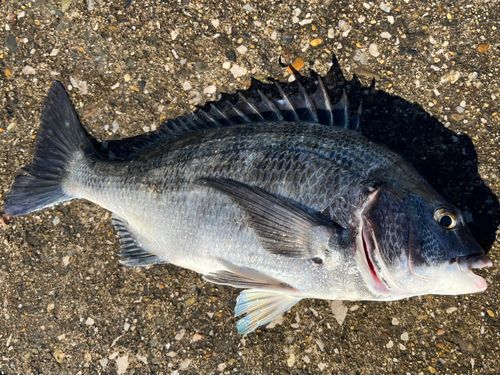 千葉港中央埠頭