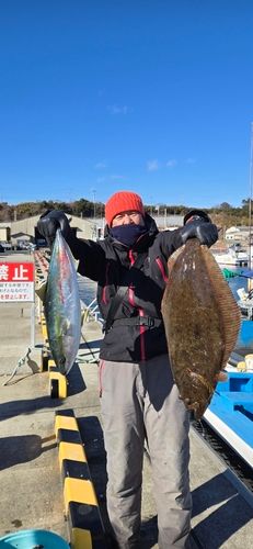 ヒラメの釣果