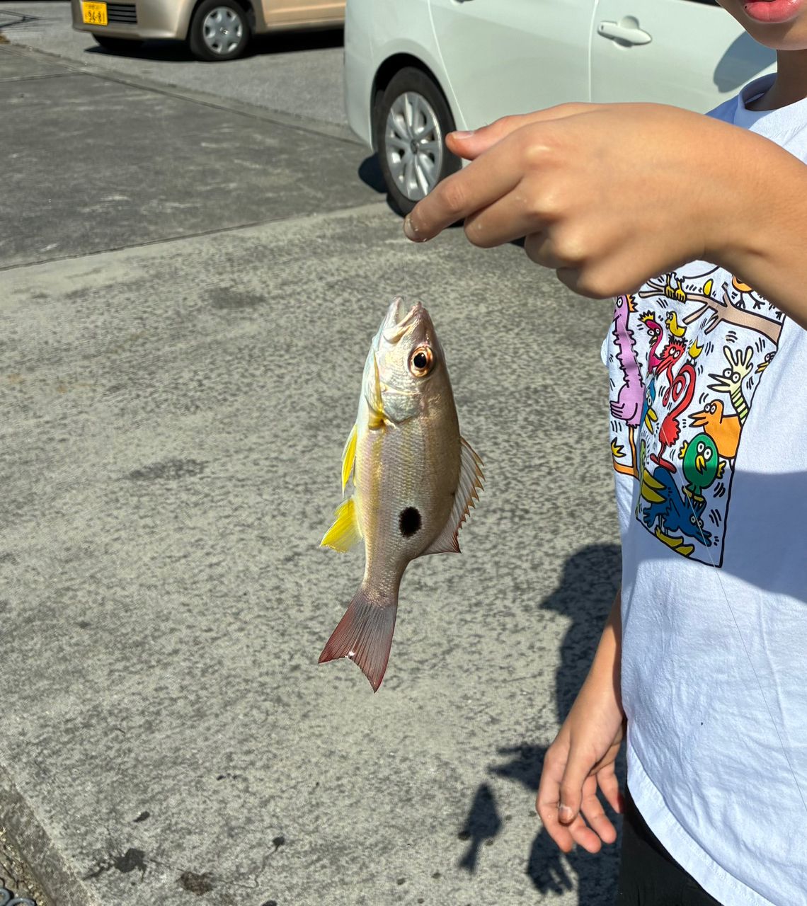 ニセクロホシフエダイ