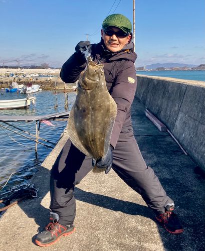 ヒラメの釣果