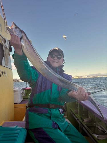 タチウオの釣果