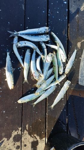 小名浜港アクアマリンふくしま周辺