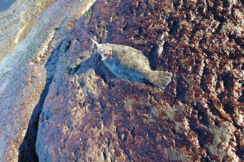 サザンビーチ付近