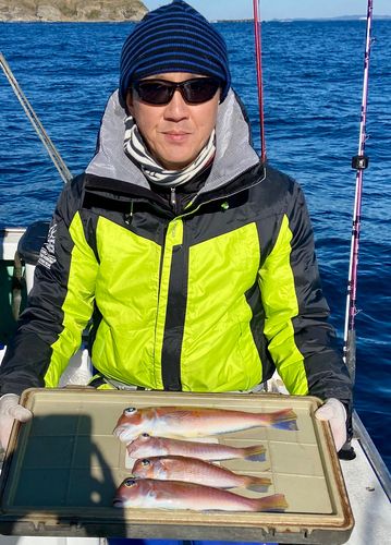 アマダイの釣果