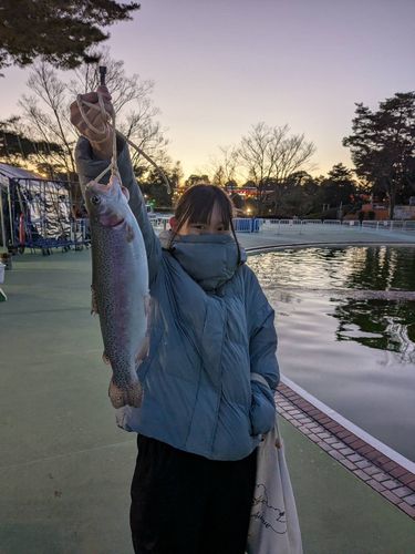 ニジマスの釣果