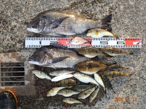 アジュール舞子