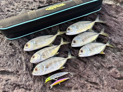 茅ヶ崎ヘッドランド