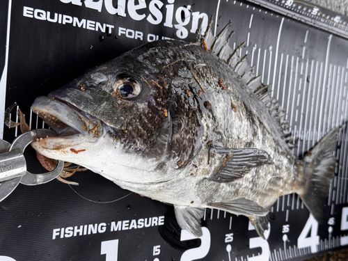 大村湾（南部）