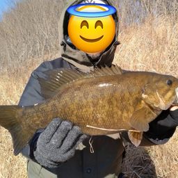 スモールマウスバス