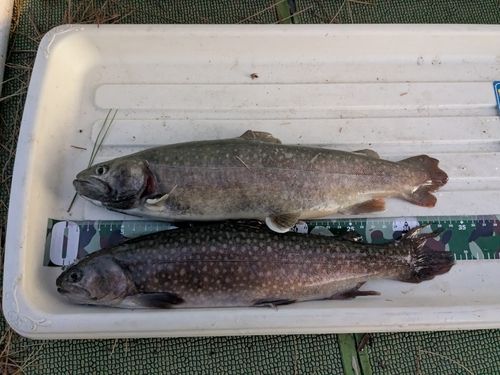 西武園ゆうえんちフィッシングランド