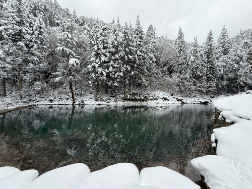 美濃フィッシングエリア