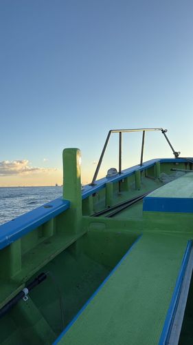 タチウオの釣果