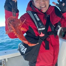 ウッカリカサゴ