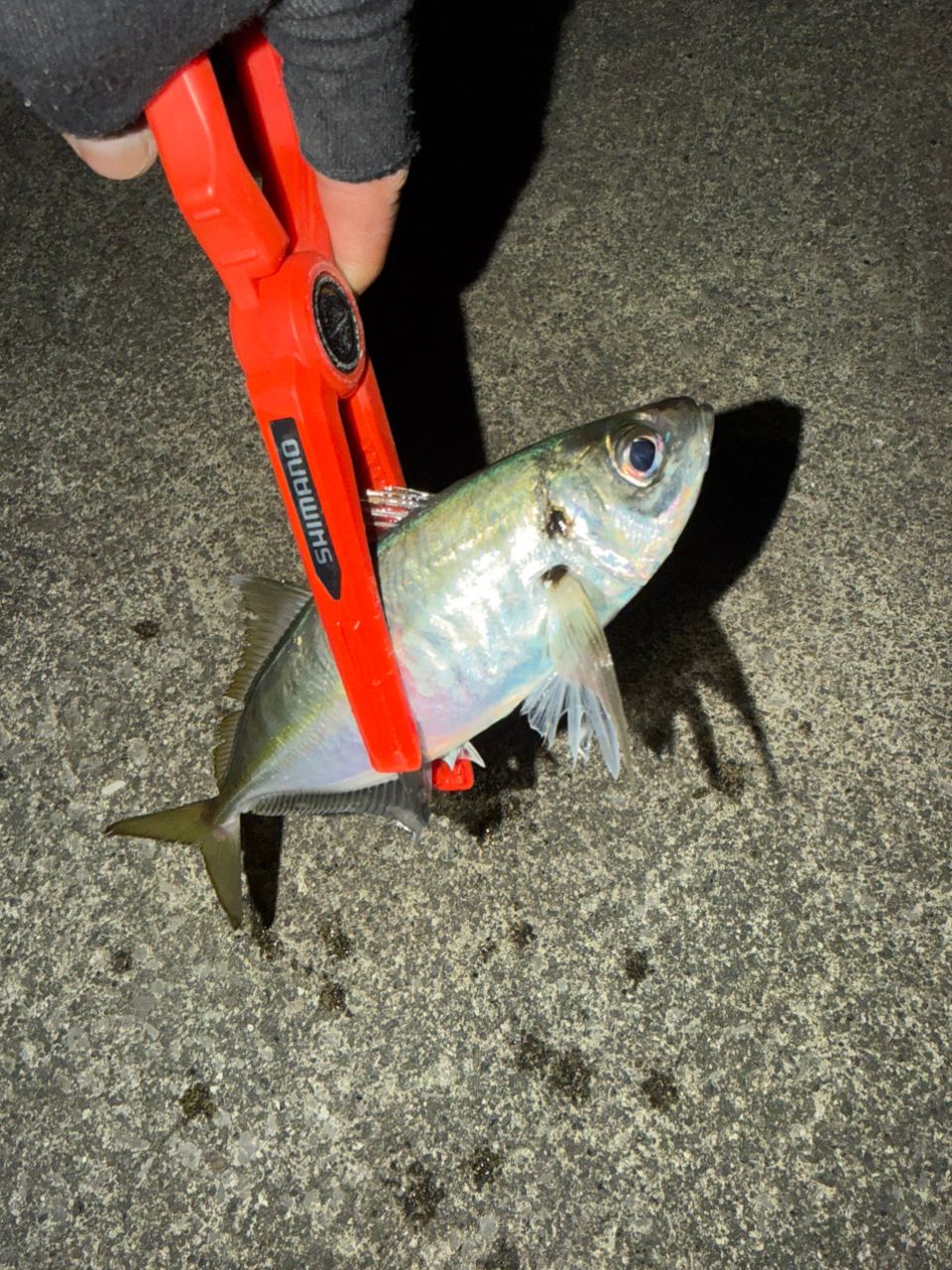 美品 メジャークラフト　鯵道5G AD-5 S622M/AJI Major Craft（メジャークラフト） 鯵道 5G AD5-S722H/AJI 釣竿 送料