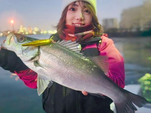 東京湾（アクアライン〜富津）