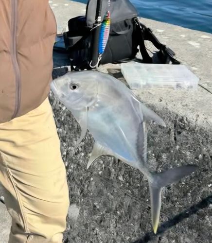 野見潮ばかり公園